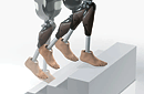 Beinprothesensystems