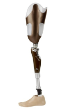 Mikroprozessorgeregeltes Kniegelenk C-Leg